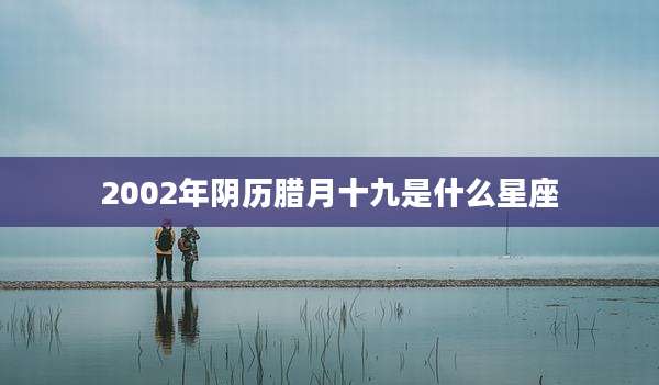 2002年阴历腊月十九是什么星座