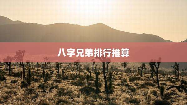 八字兄弟排行推算