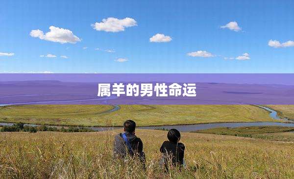 属羊的男性命运