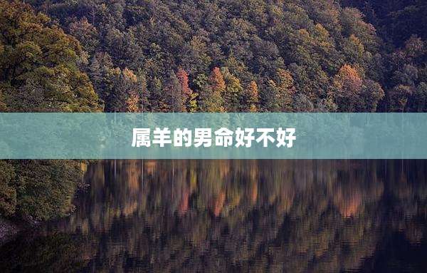 属羊的男命好不好
