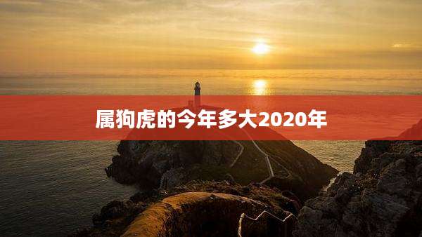 属狗虎的今年多大2020年