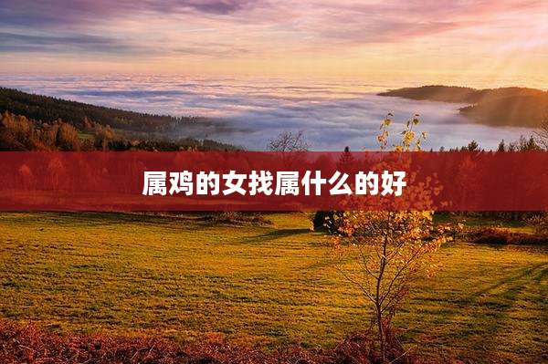 属鸡的女找属什么的好