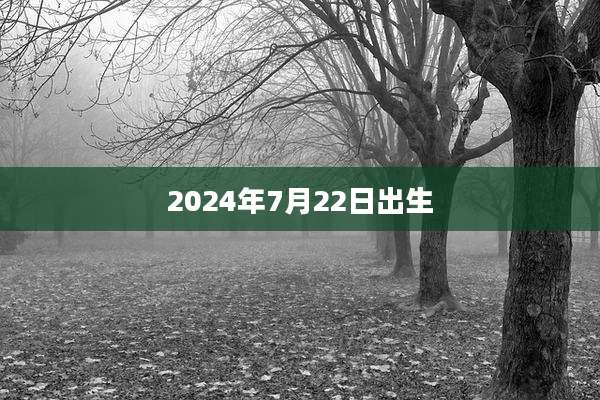 2024年7月22日出生