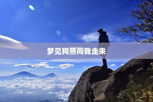 梦见狗熊向我走来