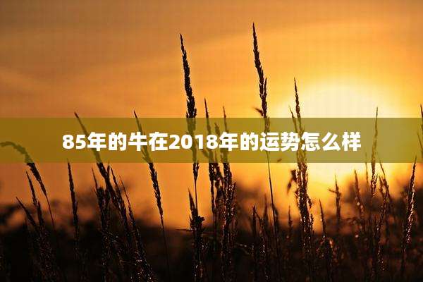 85年的牛在2018年的运势怎么样