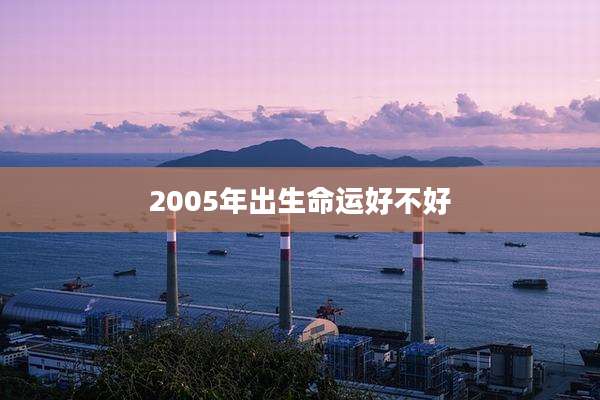 2005年出生命运好不好