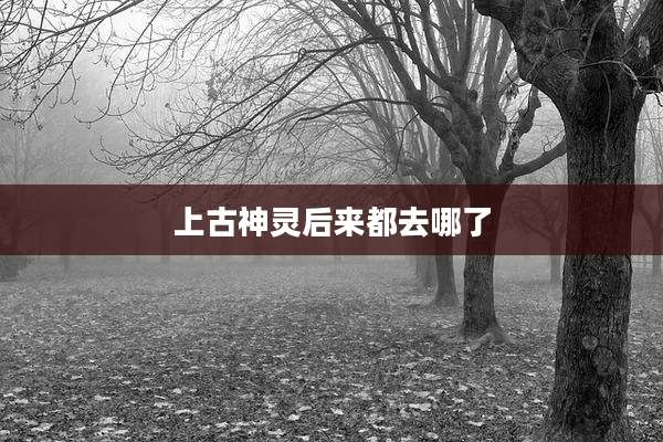 上古神灵后来都去哪了