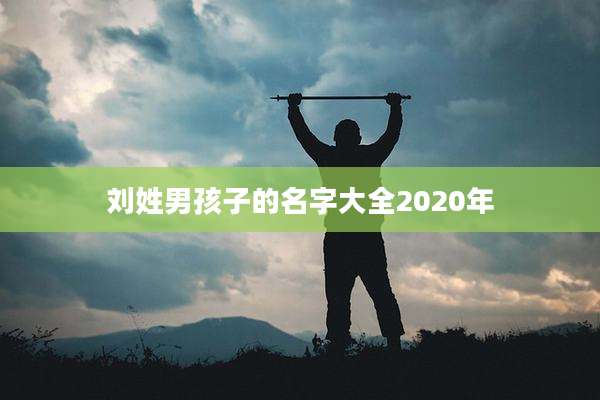 刘姓男孩子的名字大全2020年