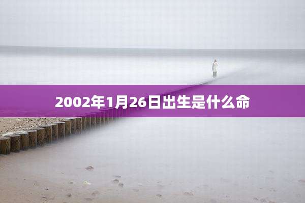 2002年1月26日出生是什么命