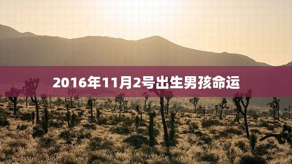 2016年11月2号出生男孩命运