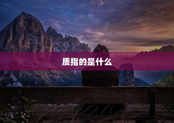 质指的是什么