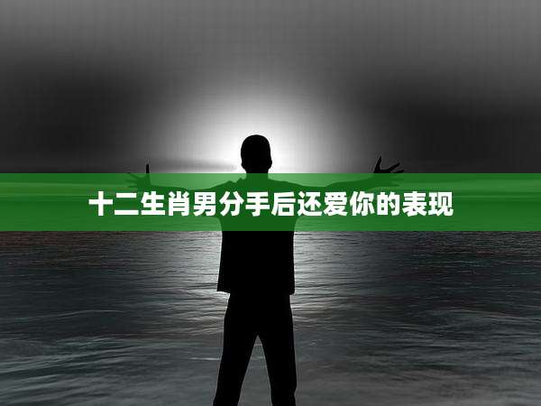 十二生肖男分手后还爱你的表现