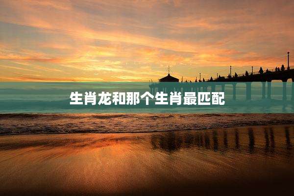生肖龙和那个生肖最匹配
