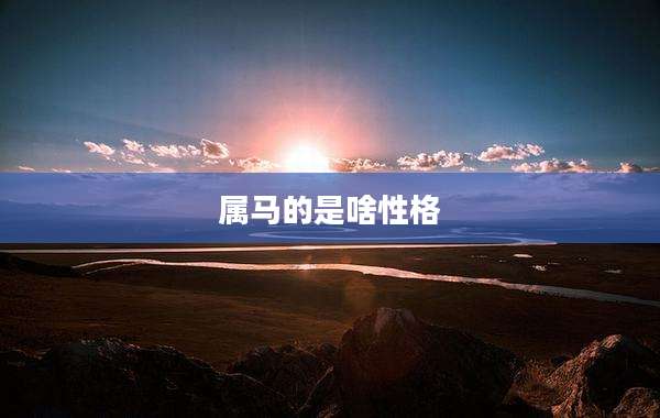 属马的是啥性格
