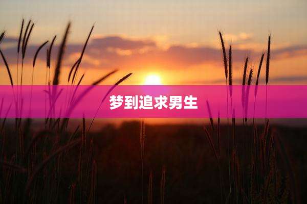 梦到追求男生