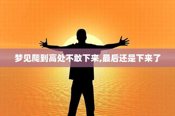 梦见爬到高处不敢下来,最后还是下来了