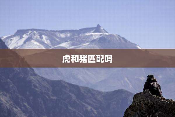 虎和猪匹配吗