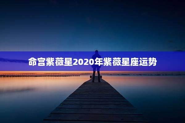命宫紫薇星2020年紫薇星座运势