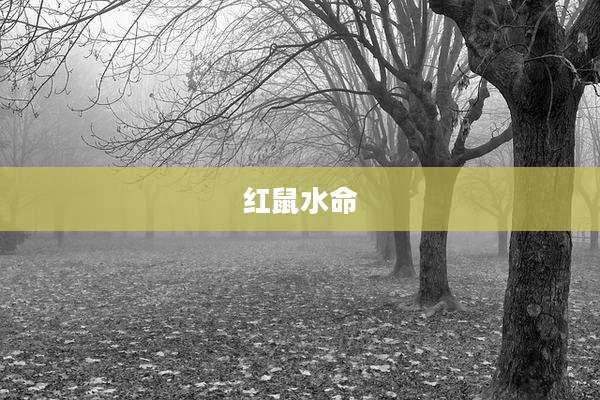 红鼠水命