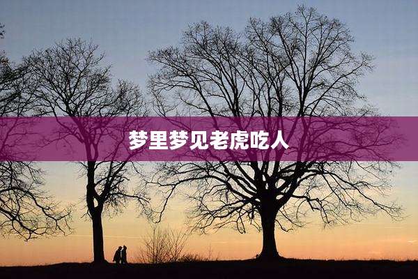 梦里梦见老虎吃人