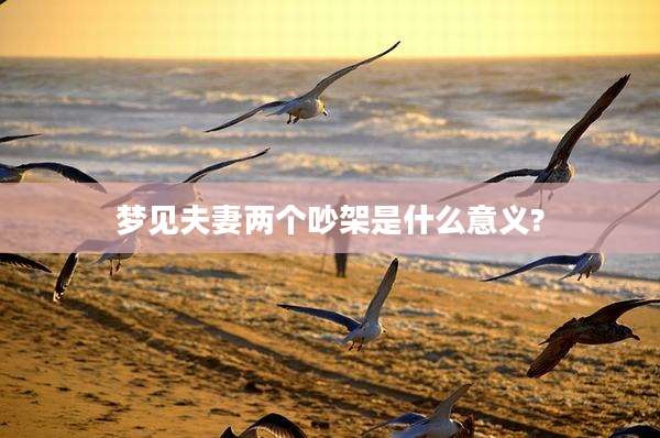梦见夫妻两个吵架是什么意义?