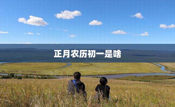 正月农历初一是啥