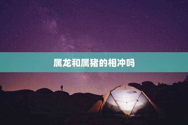 属龙和属猪的相冲吗