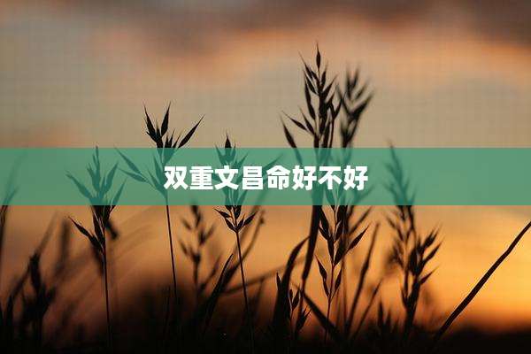 双重文昌命好不好