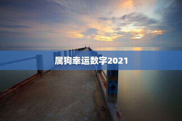 属狗幸运数字2021