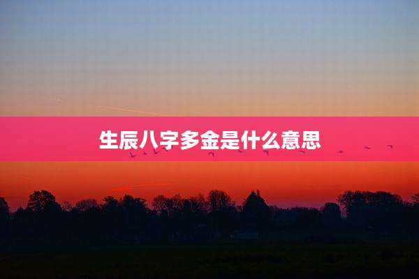 生辰八字多金是什么意思