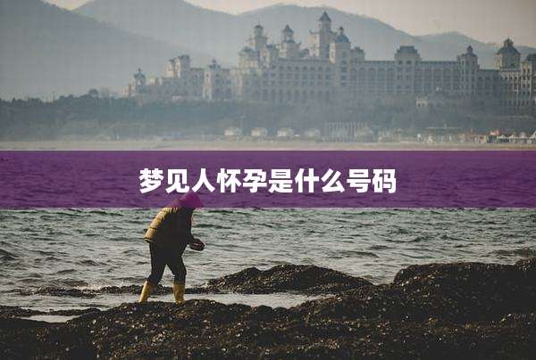 梦见人怀孕是什么号码