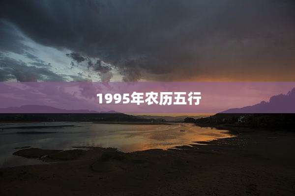 1995年农历五行