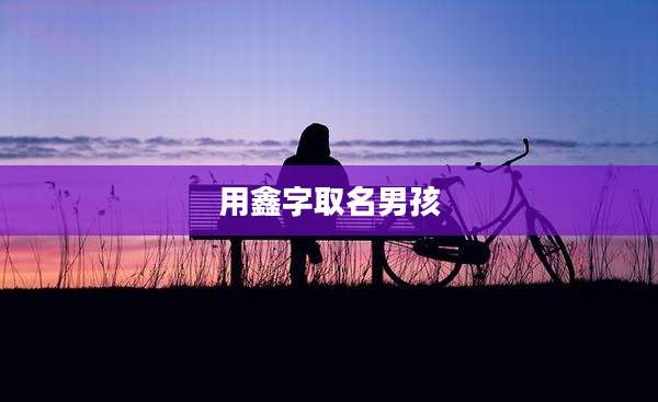 用鑫字取名男孩