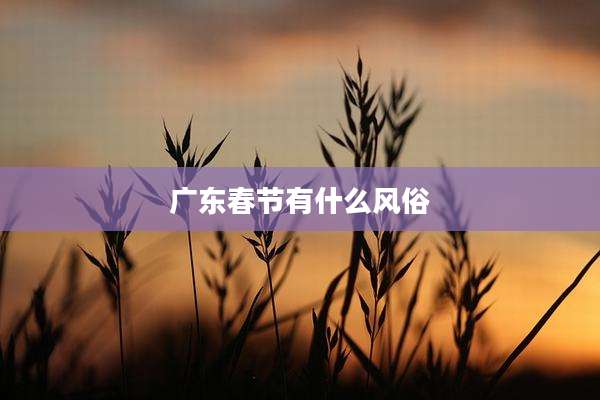 广东春节有什么风俗
