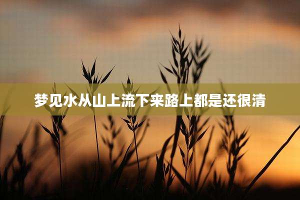 梦见水从山上流下来路上都是还很清