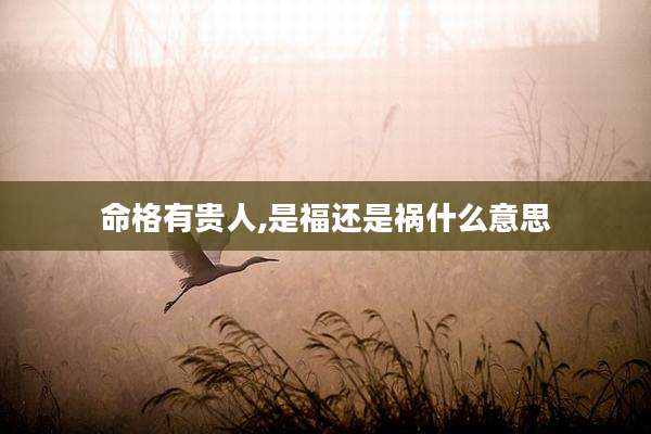 命格有贵人,是福还是祸什么意思