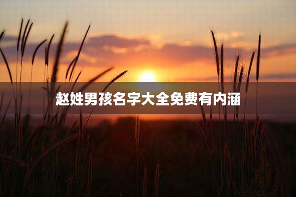 赵姓男孩名字大全免费有内涵