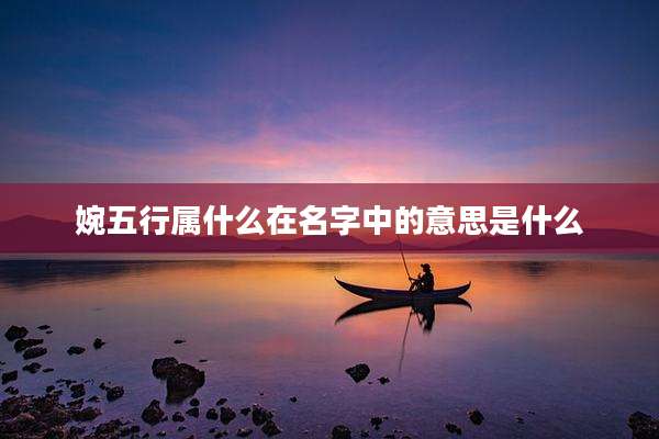 婉五行属什么在名字中的意思是什么