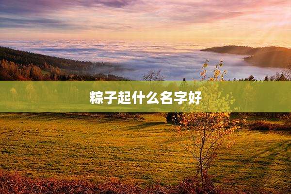 粽子起什么名字好
