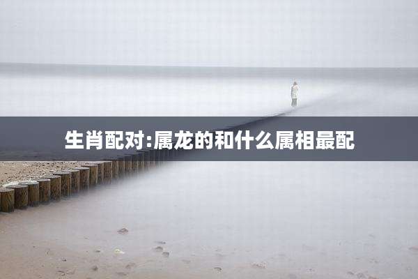 生肖配对:属龙的和什么属相最配