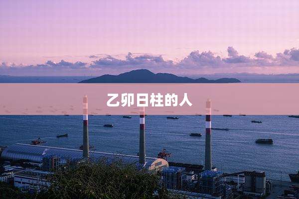 乙卯日柱的人