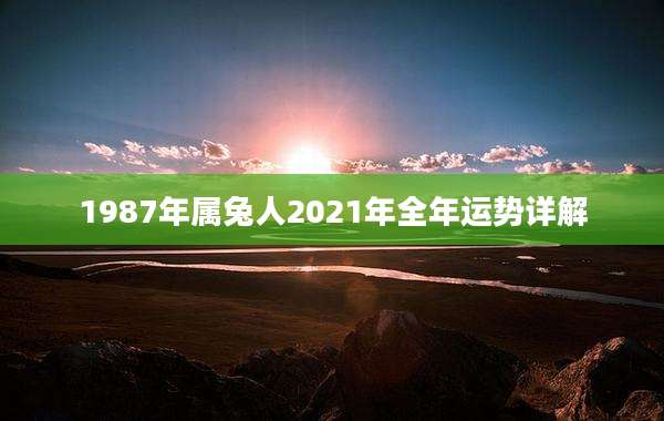 1987年属兔人2021年全年运势详解