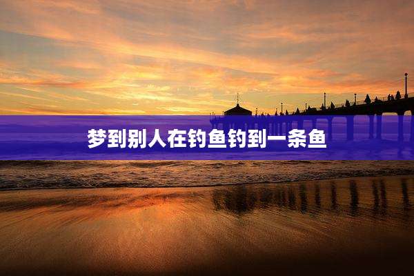 梦到别人在钓鱼钓到一条鱼