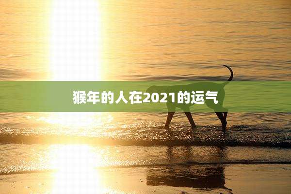 猴年的人在2021的运气