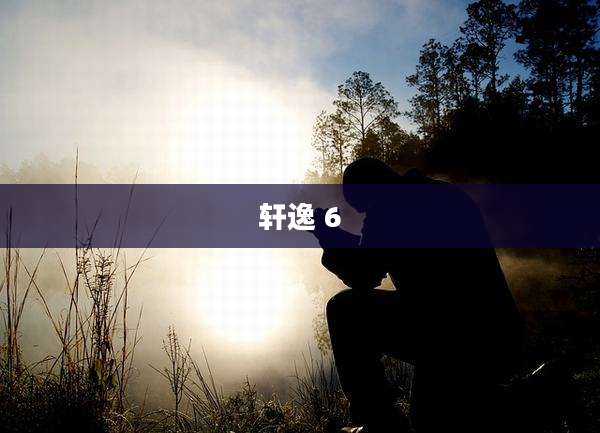 轩逸 6
