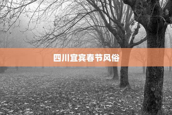 四川宜宾春节风俗