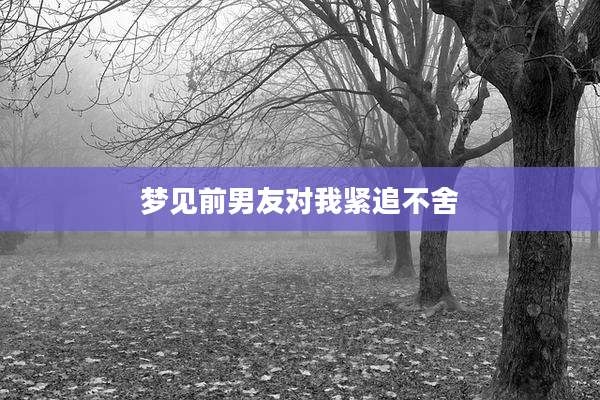 梦见前男友对我紧追不舍