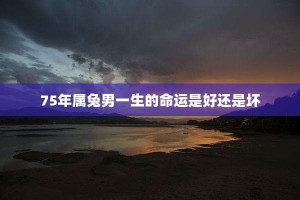 75年属兔男一生的命运是好还是坏