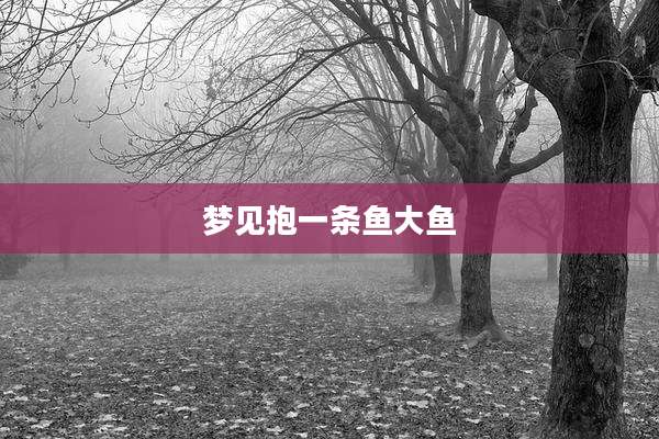 梦见抱一条鱼大鱼