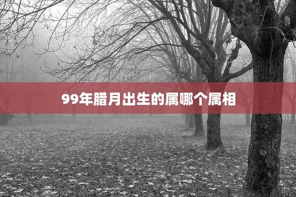 99年腊月出生的属哪个属相
